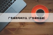 广东麻将鸟叫什么（广东麻将俗语）