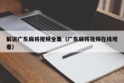解说广东麻将视频全集（广东麻将视频在线观看）