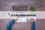 广东河源小虎麻将的简单介绍