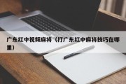 广东红中视频麻将（打广东红中麻将技巧在哪里）