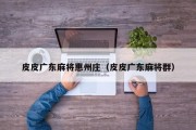 皮皮广东麻将惠州庄（皮皮广东麻将群）