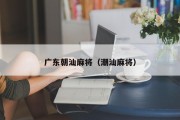 广东朝汕麻将（潮汕麻将）
