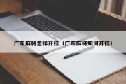 广东麻将怎样开挂（广东麻将如何开挂）