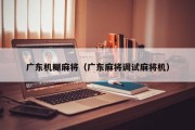 广东机糊麻将（广东麻将调试麻将机）