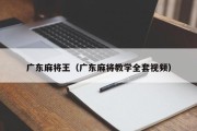 广东麻将王（广东麻将教学全套视频）