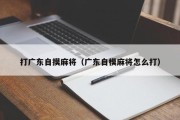 打广东自摸麻将（广东自模麻将怎么打）