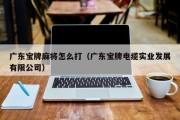 广东宝牌麻将怎么打（广东宝牌电缆实业发展有限公司）