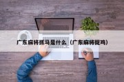 广东麻将抓马是什么（广东麻将捉鸡）