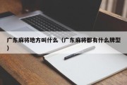 广东麻将地方叫什么（广东麻将都有什么牌型）