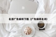 名游广东麻将下载（广东麻将名词）