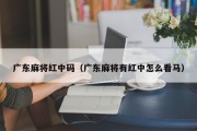 广东麻将红中码（广东麻将有红中怎么看马）
