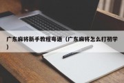 广东麻将新手教程粤语（广东麻将怎么打初学）