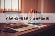 广东麻将怎样是自摸（广东麻将怎么摸）