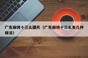 广东麻将十三么图片（广东麻将十三幺有几种胡法）