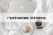 广东开平马冈打麻将（开平马冈圩日）