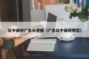 红中麻将广东长视频（广东红中麻将牌型）