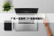 广东一毛麻将（一毛麻将图片）