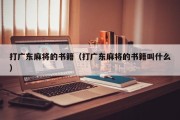 打广东麻将的书籍（打广东麻将的书籍叫什么）