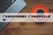 广东麻将抓马规则图片（广东麻将抓码怎么算钱）
