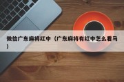微信广东麻将红中（广东麻将有红中怎么看马）
