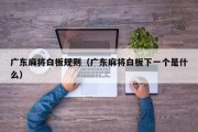 广东麻将白板规则(广东麻将白板下一个是什么) 广东麻将白板规则(广东麻将白板下一个是什么)