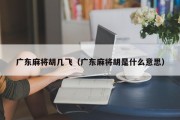 广东麻将胡几飞（广东麻将胡是什么意思）