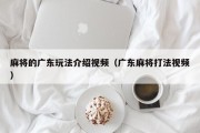 麻将的广东玩法介绍视频（广东麻将打法视频）