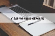 广东波仔麻将视频（惠州波仔）