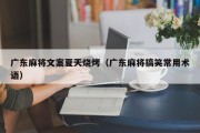广东麻将文案夏天烧烤（广东麻将搞笑常用术语）